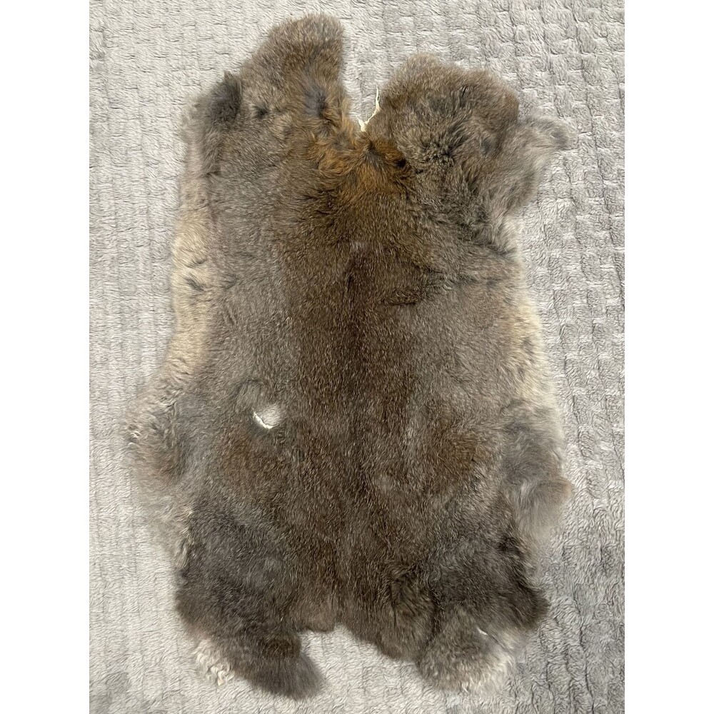 Genuine Rabbit Pelt Gray Brown Tanned Real Fur Hide Taxidermy Oddities Curios